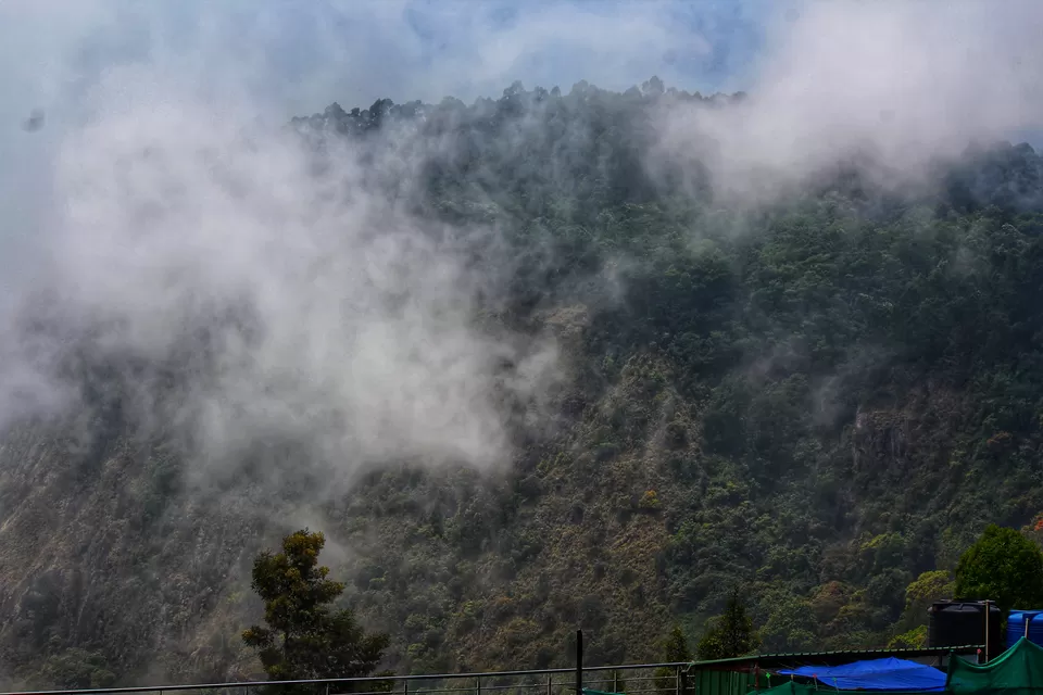 Photo of 48 Hours of Exotic Greenery in the Princess of Hill stations called Kodaikanal#westernghatsinphotos by Anil Kumar