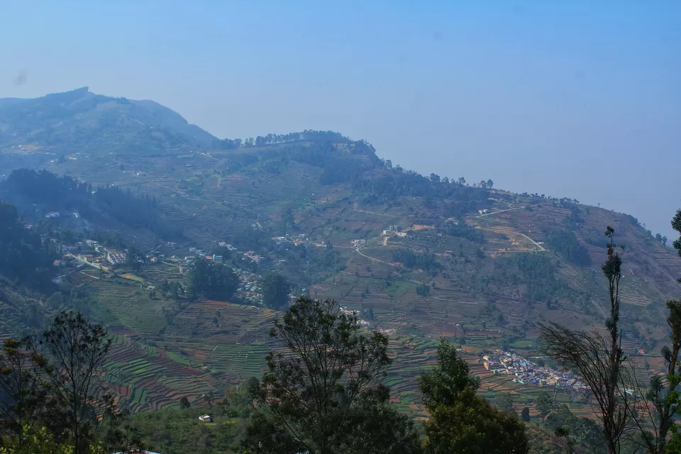 Photo of 48 Hours of Exotic Greenery in the Princess of Hill stations called Kodaikanal#westernghatsinphotos by Anil Kumar