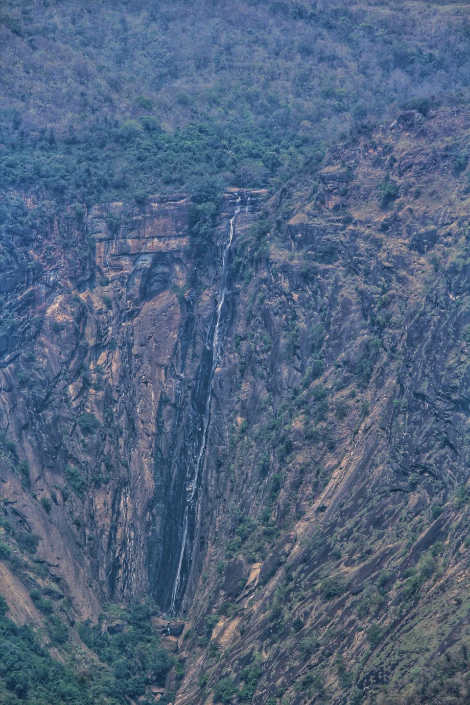 Photo of 48 Hours of Exotic Greenery in the Princess of Hill stations called Kodaikanal#westernghatsinphotos by Anil Kumar