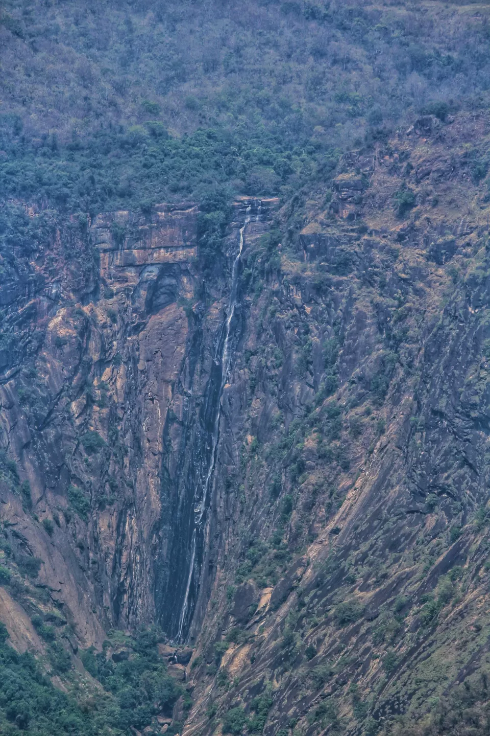Photo of 48 Hours of Exotic Greenery in the Princess of Hill stations called Kodaikanal#westernghatsinphotos by Anil Kumar
