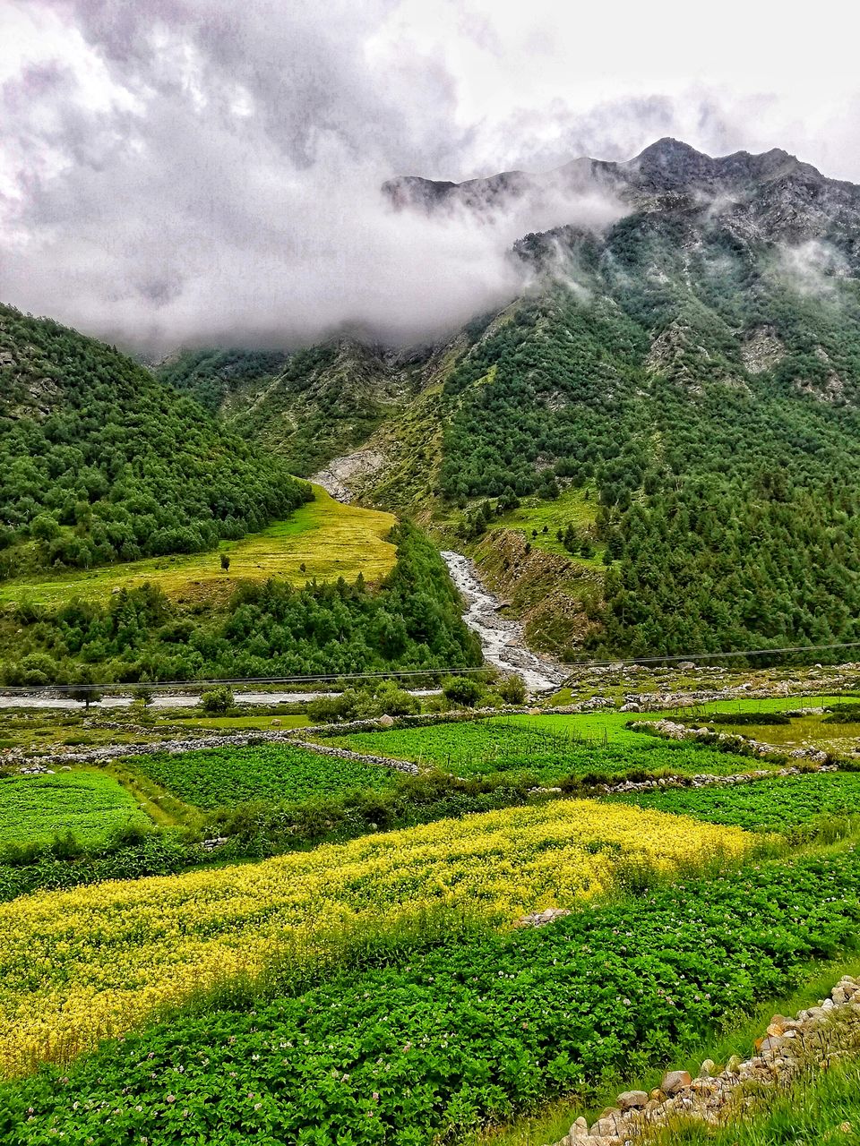 Photo of Chitkul, Himachal Pradesh, India by Anil Kumar