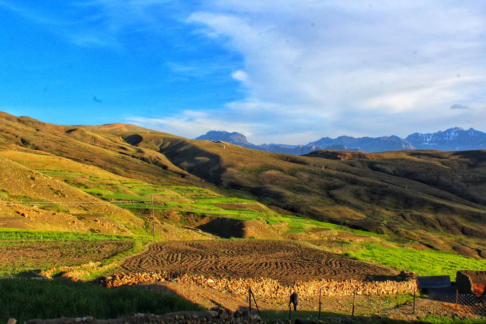 Photo of Hikkim, Himachal Pradesh, India by Anil Kumar
