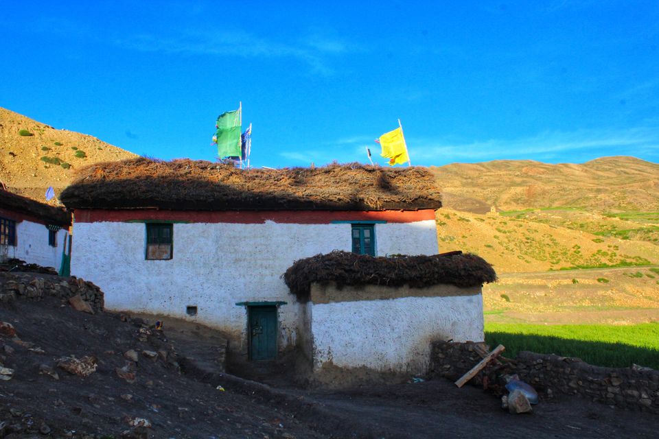 Photo of Hikkim, Himachal Pradesh, India by Anil Kumar