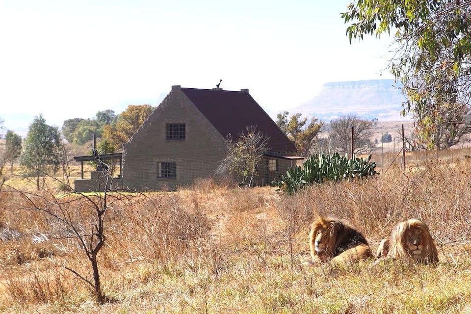 Photo of Harrismith, South Africa by Anil Kumar