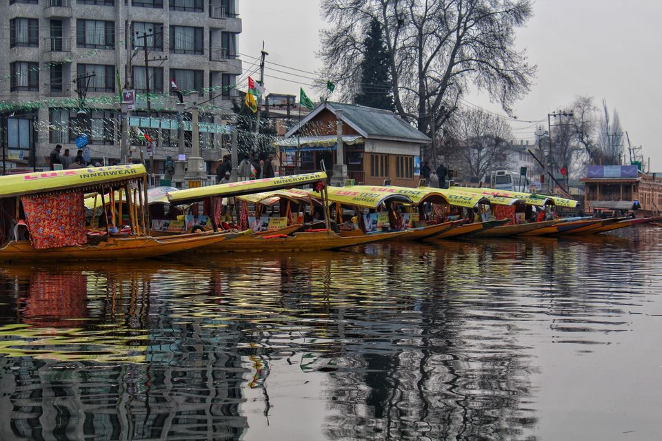 Photo of Dal Lake, Srinagar by Anil Kumar