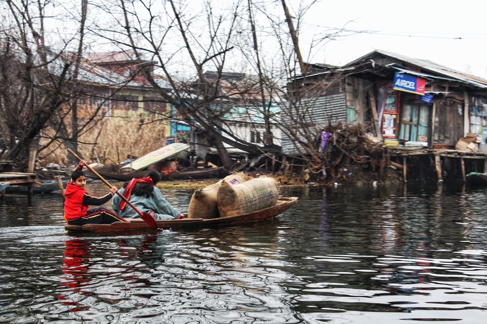 Photo of Dal Lake, Srinagar by Anil Kumar