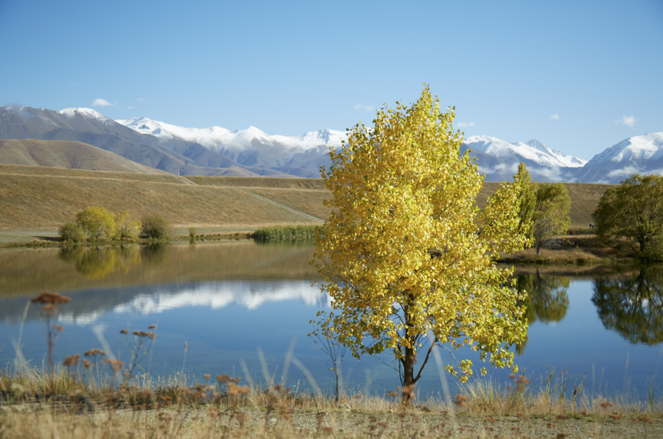Photo of Twizel, New Zealand by Anil Kumar