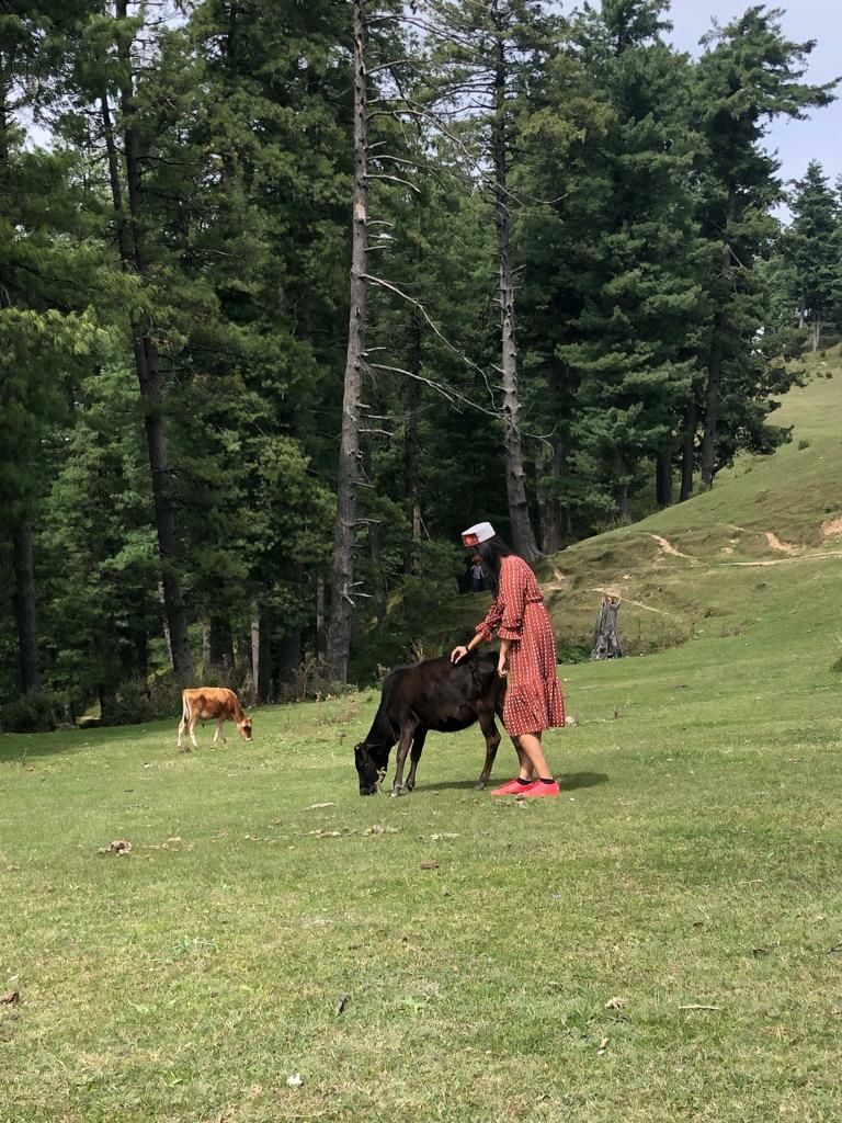 Photo of Trip to Remember by Anu Priya Srivastava
