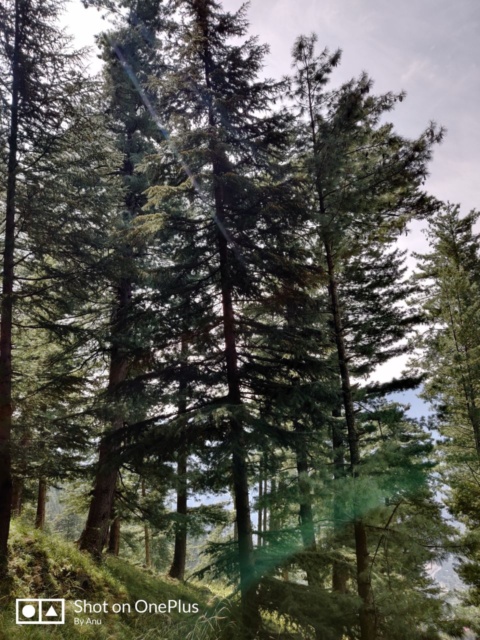 Photo of Trip to Remember by Anu Priya Srivastava