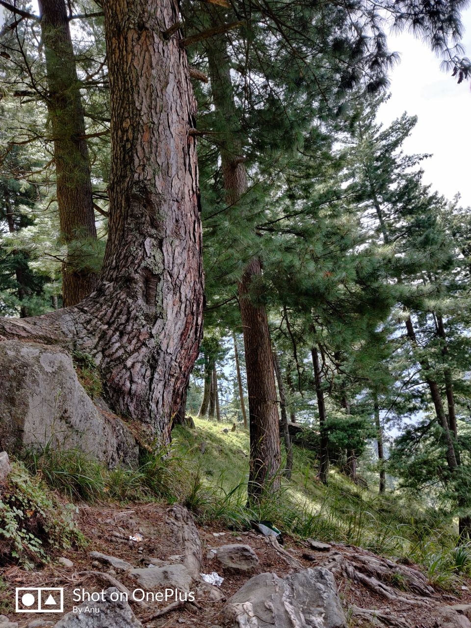 Photo of Trip to Remember by Anu Priya Srivastava