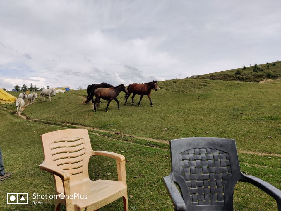 Photo of Trip to Remember by Anu Priya Srivastava