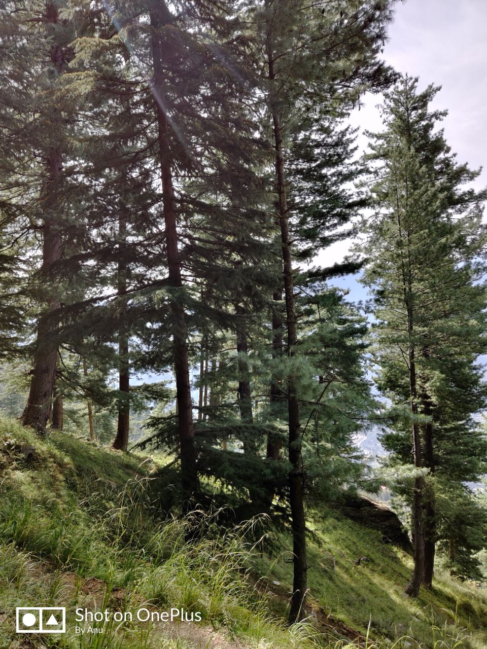 Photo of Trip to Remember by Anu Priya Srivastava