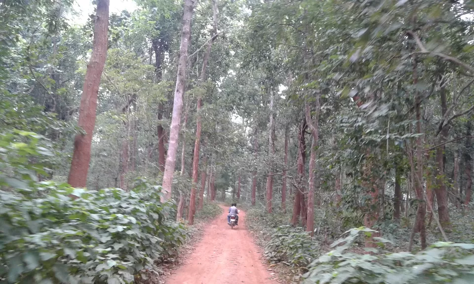 Photo of Similipal, Odisha, India by Shatananda Mohanta