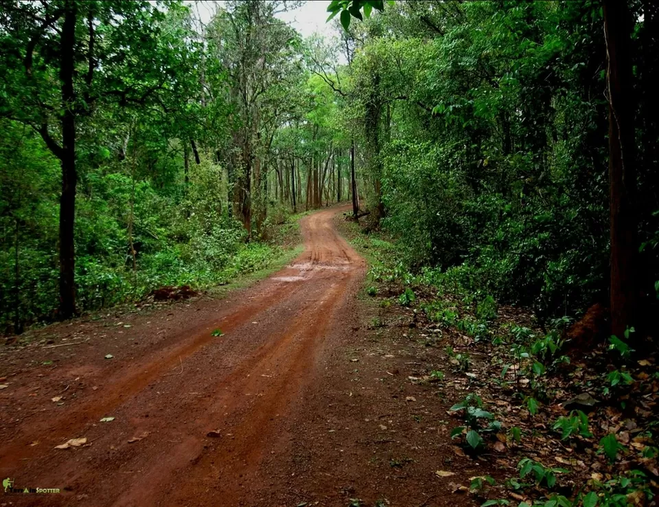 Photo of Similipal, Odisha, India by Shatananda Mohanta