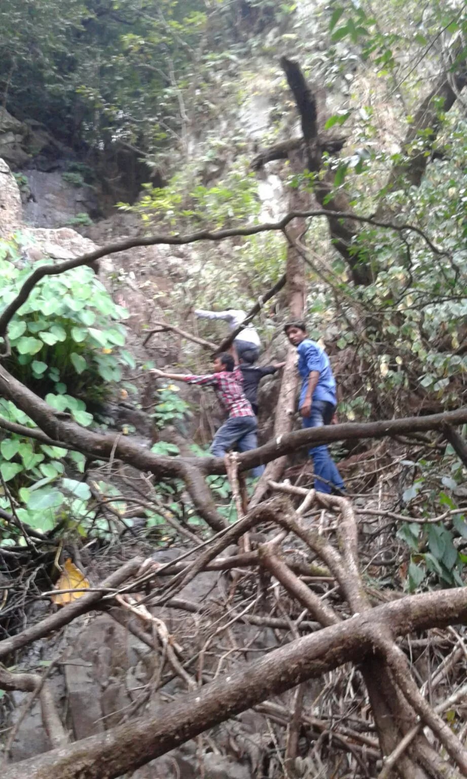 Photo of Similipal, Odisha, India by Shatananda Mohanta