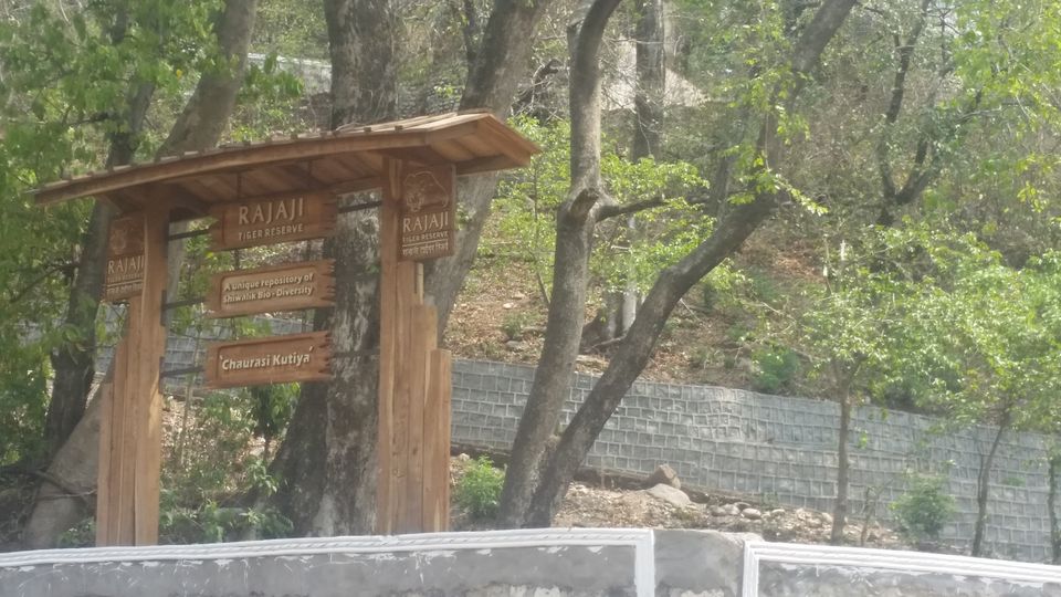 Photo of The enchanting Beatles ashram- Photo Blog 1/15 by Lakshmi Menon
