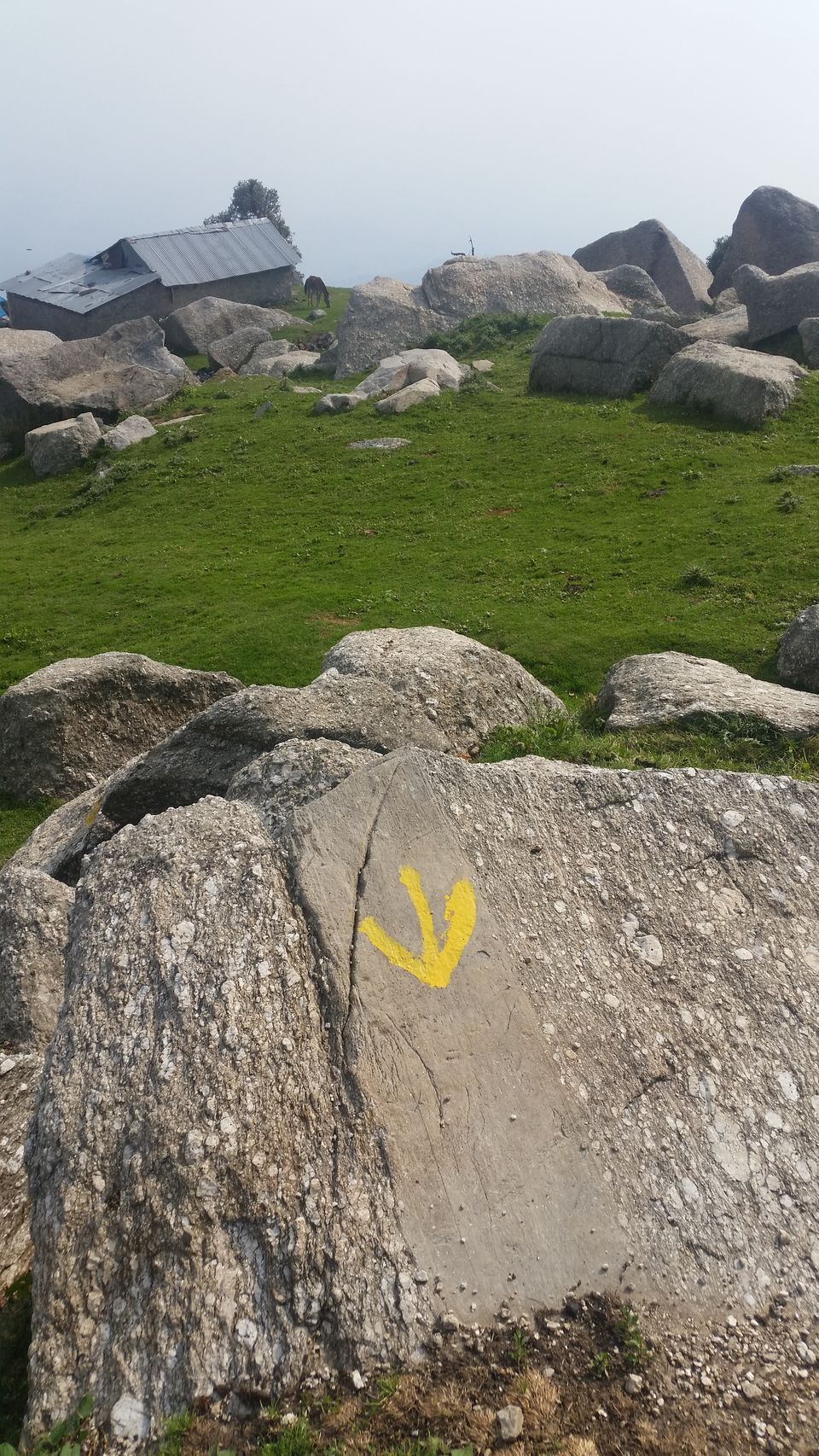 Photo of Triund , Snowline and back 7/15 by Lakshmi Menon