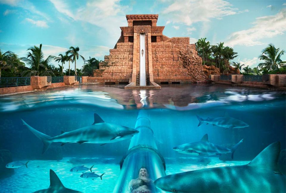 Photo of Top 6 water-parks in UAE by Lakshmi Menon