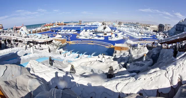 Photo of Ice Land Water Park - North Ras Al Khaimah - United Arab Emirates by Lakshmi Menon