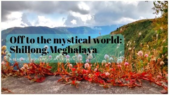 Photo of Off to the mystical world: Shillong, Meghalaya by The Dainty Dandelion