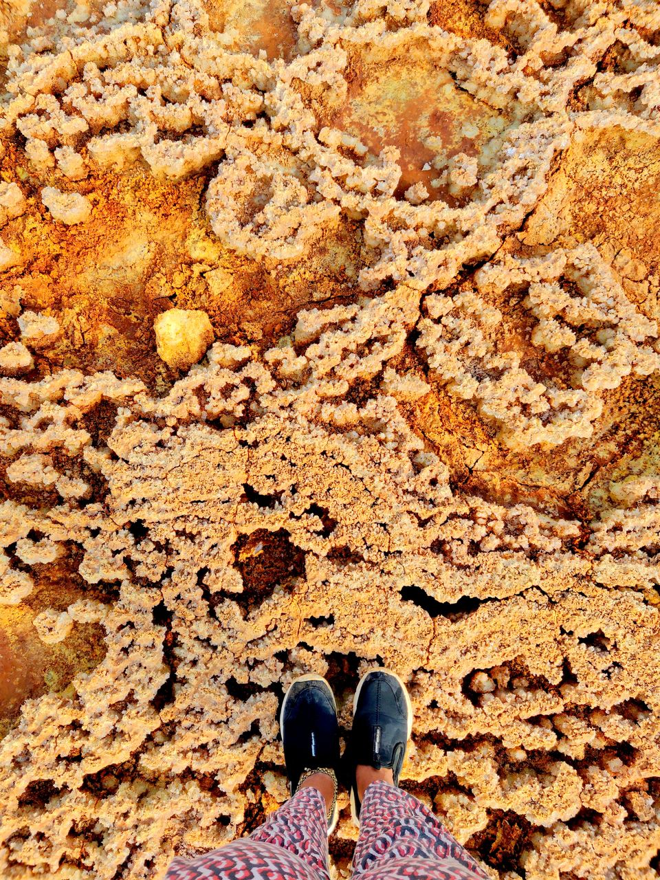 Photo of This Alien Land Is One Of Hottest Places On Earth: Exploring Danakil Depression! by Backpacking Romance