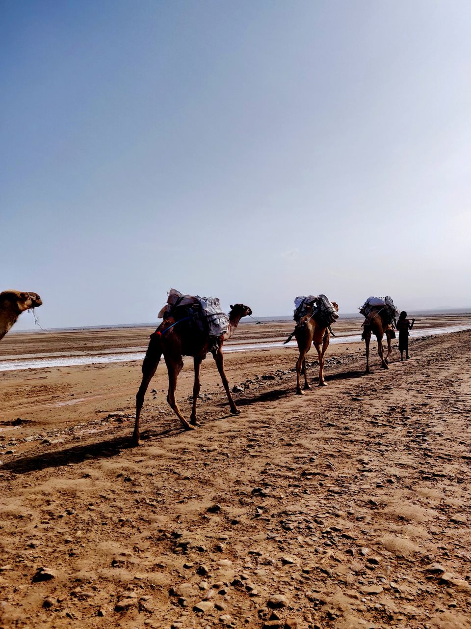 Photo of This Alien Land Is One Of Hottest Places On Earth: Exploring Danakil Depression! by Backpacking Romance