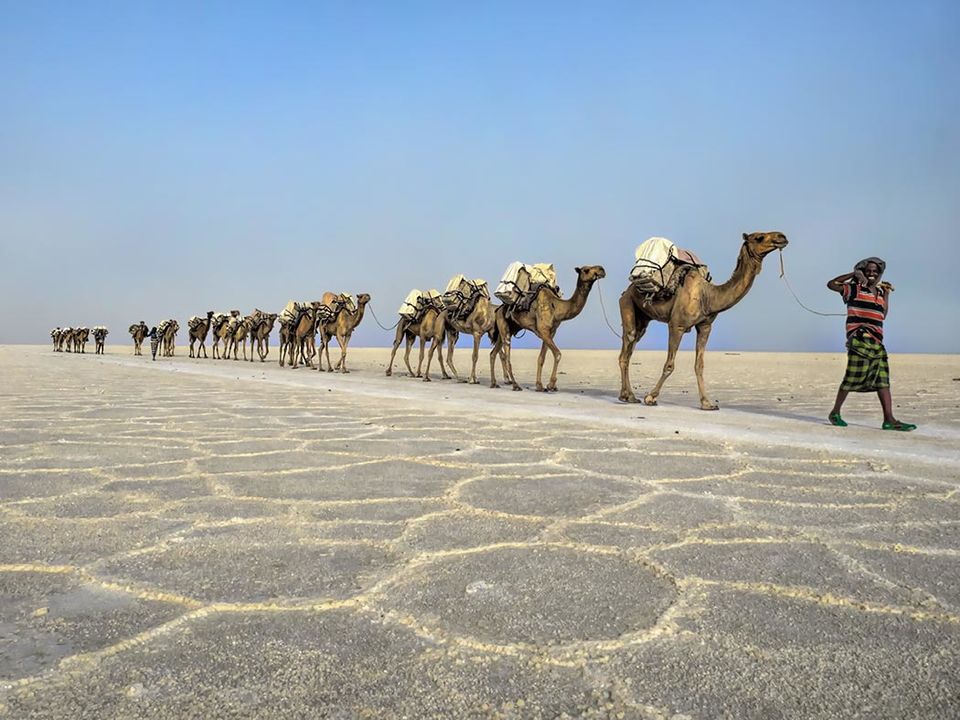 Photo of This Alien Land Is One Of Hottest Places On Earth: Exploring Danakil Depression! by Backpacking Romance