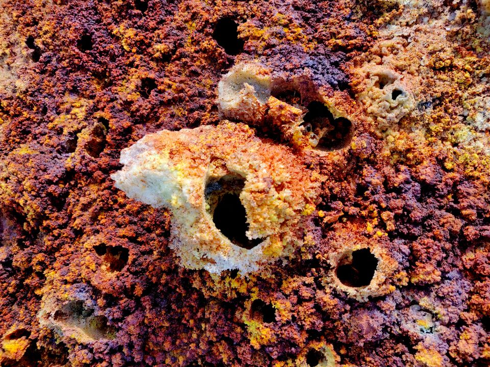 Photo of This Alien Land Is One Of Hottest Places On Earth: Exploring Danakil Depression! by Backpacking Romance