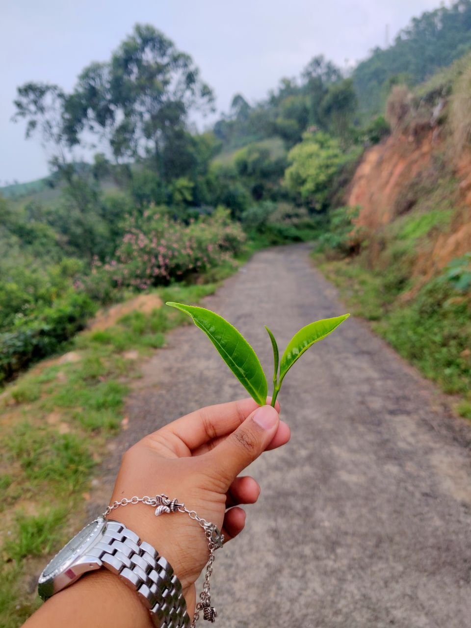 Photo of 10 Things That You Must Do When In Kerala! 3/13 by Backpacking Romance