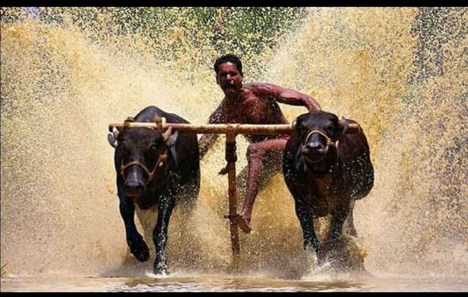 Photo of दुनिया में कहीं भी घूम लो पर ये 20 अद्भुत चीज़ें सिर्फ़ भारत में ही देखने को मिलेंगी by kapil kumar