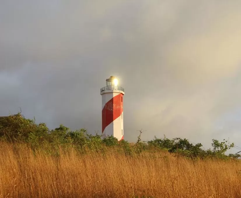 Photo of बेतुल, Velim, Goa, India by Manglam Bhaarat