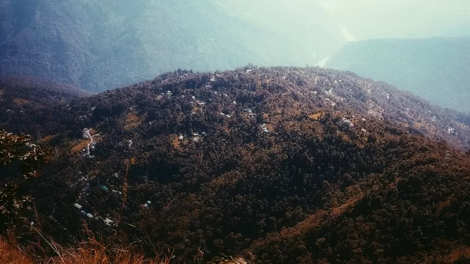 Photo of हरियाली और फूलों के बीच सिक्किम का ये होमस्टे प्यारी यादों के लिए उम्दा है by Manglam Bhaarat