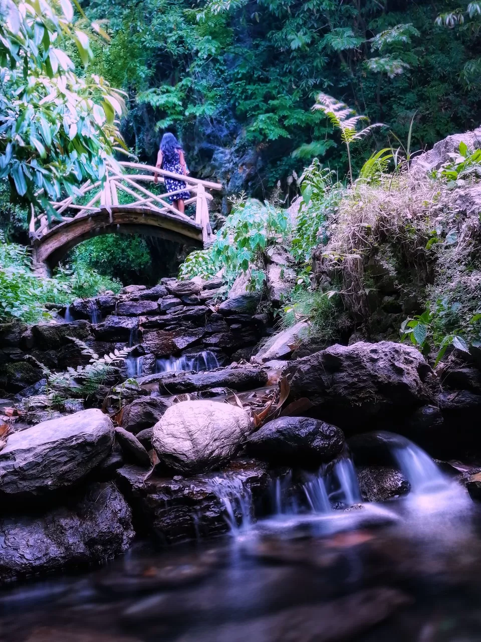 Photo of जीभी वॉटरफॉल, Tandi, Himachal Pradesh, India by Manglam Bhaarat