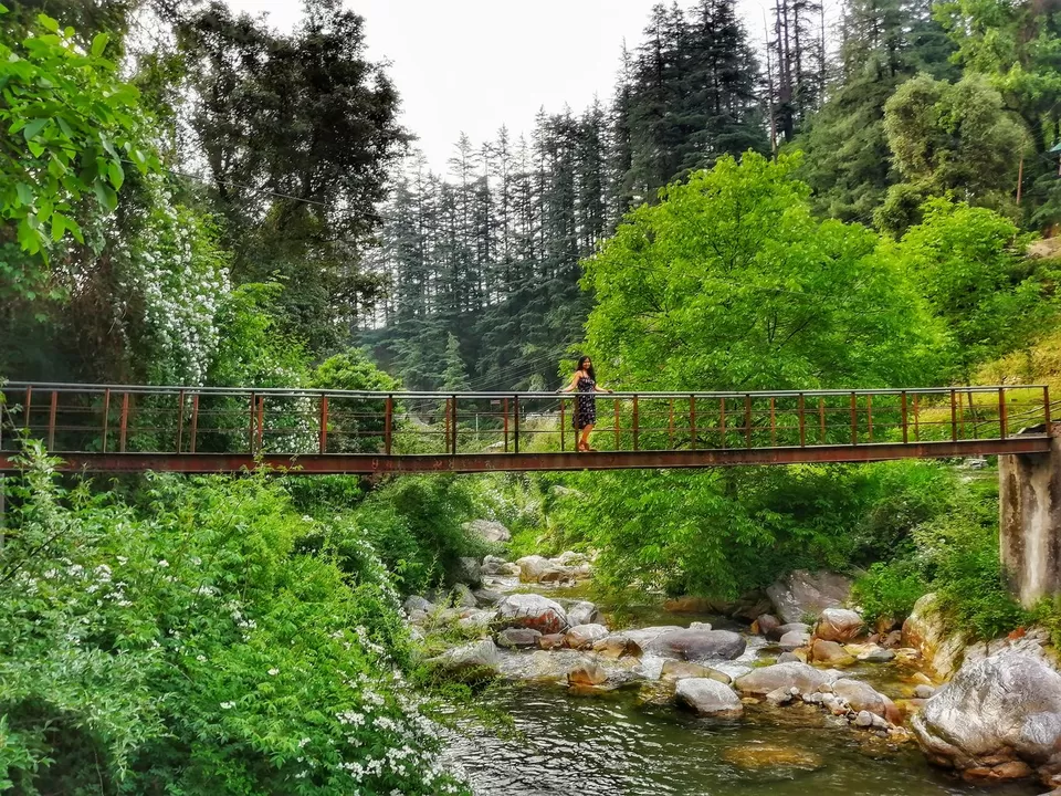 Photo of जीभी वॉटरफॉल, Tandi, Himachal Pradesh, India by Manglam Bhaarat