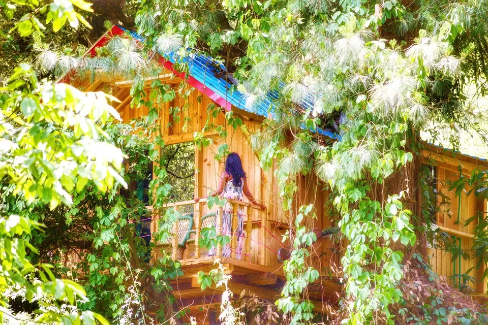 Photo of जीभी वॉटरफॉल, Tandi, Himachal Pradesh, India by Manglam Bhaarat