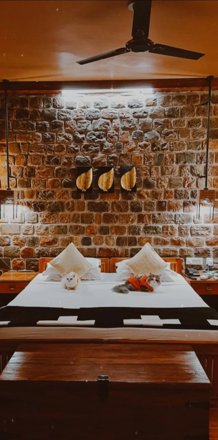 Photo of The Den Corbett, Reserve Forest, Ranikhet Road, Kumeriya, Chilkiya Range, Uttarakhand, India by That NomadCouple