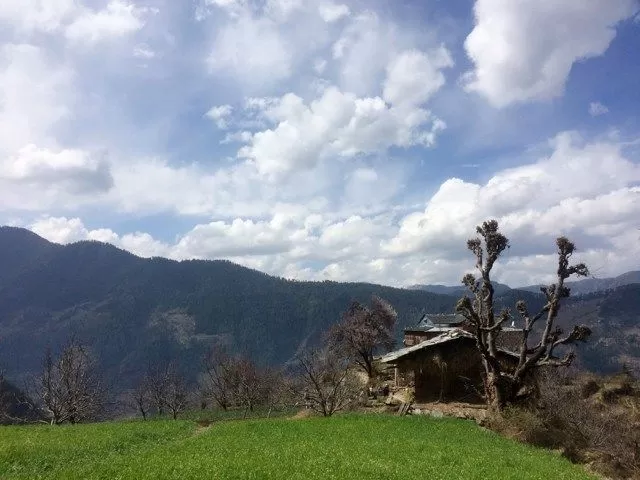 Photo of Chehni Kothi, Banjar, Himachal Pradesh, India by Supriya Sahu