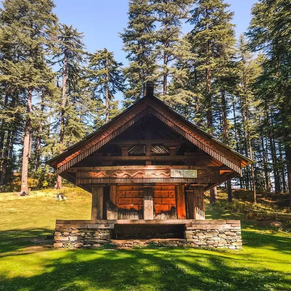 Photo of बहु, Himachal Pradesh, India by Supriya Sahu