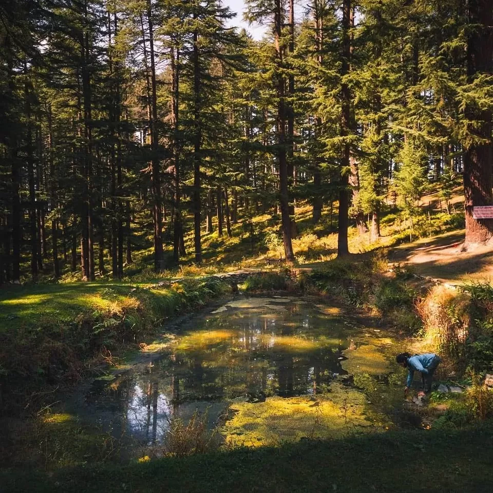 Photo of बहु, Himachal Pradesh, India by Supriya Sahu