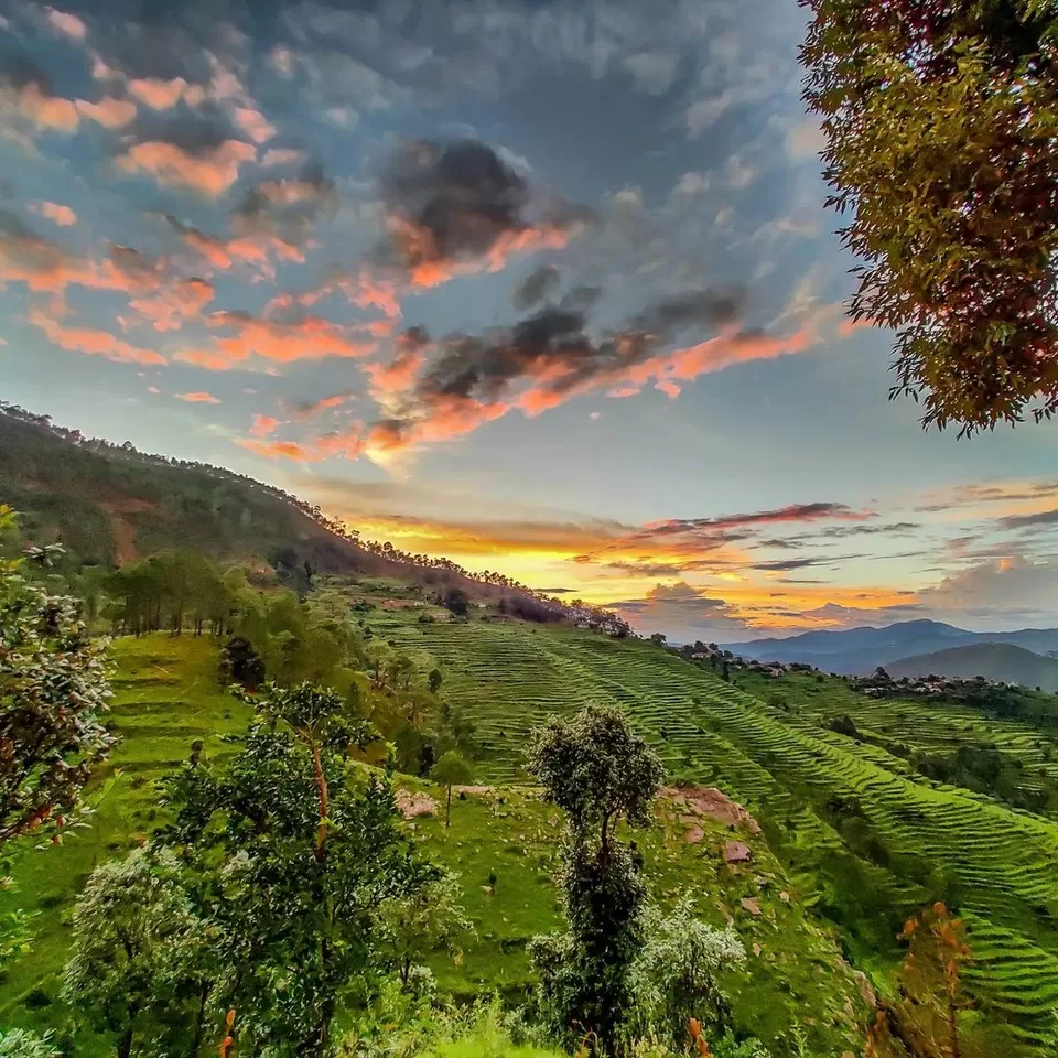 Photo of Binsar, Uttarakhand, India by Rishabh Dev