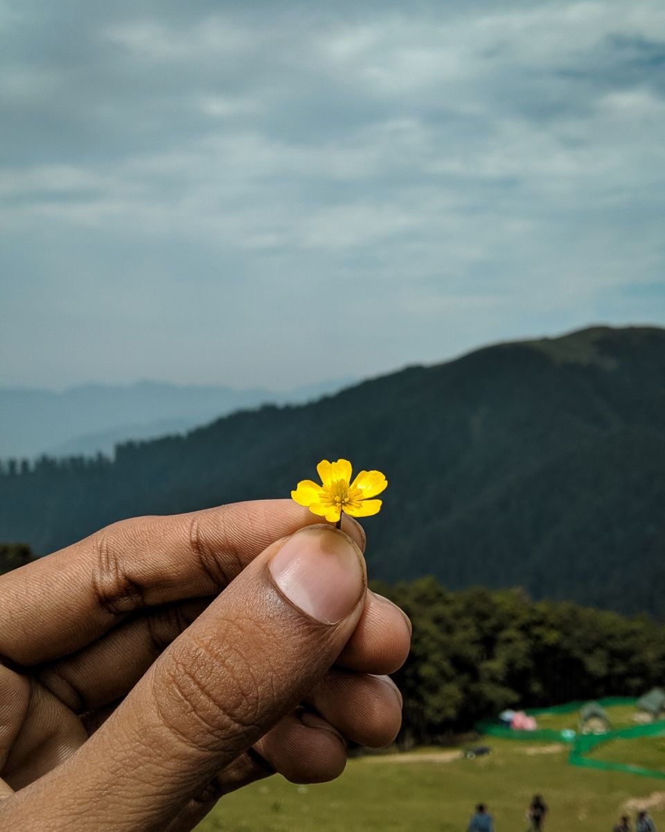 Photo of Jalori Pass, Jalori, Sajwar, Himachal Pradesh by Jaskaran Singh