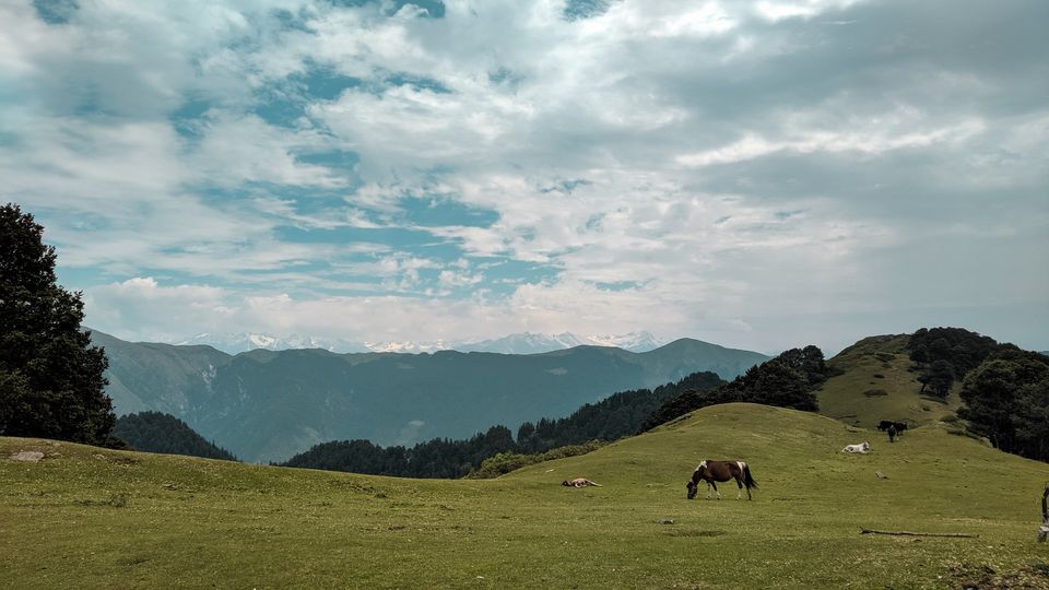 Photo of Jalori Pass, Jalori, Sajwar, Himachal Pradesh by Jaskaran Singh