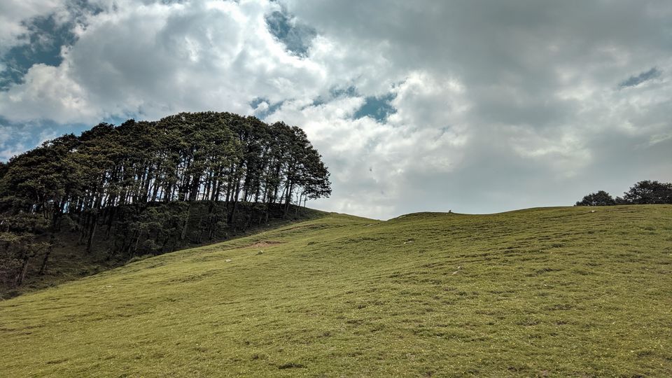 Photo of Jalori Pass, Jalori, Sajwar, Himachal Pradesh by Jaskaran Singh