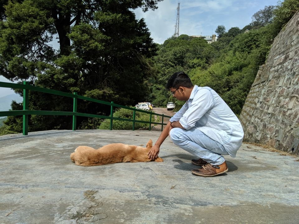 Photo of Kasauli, Himachal Pradesh, India by Jaskaran Singh