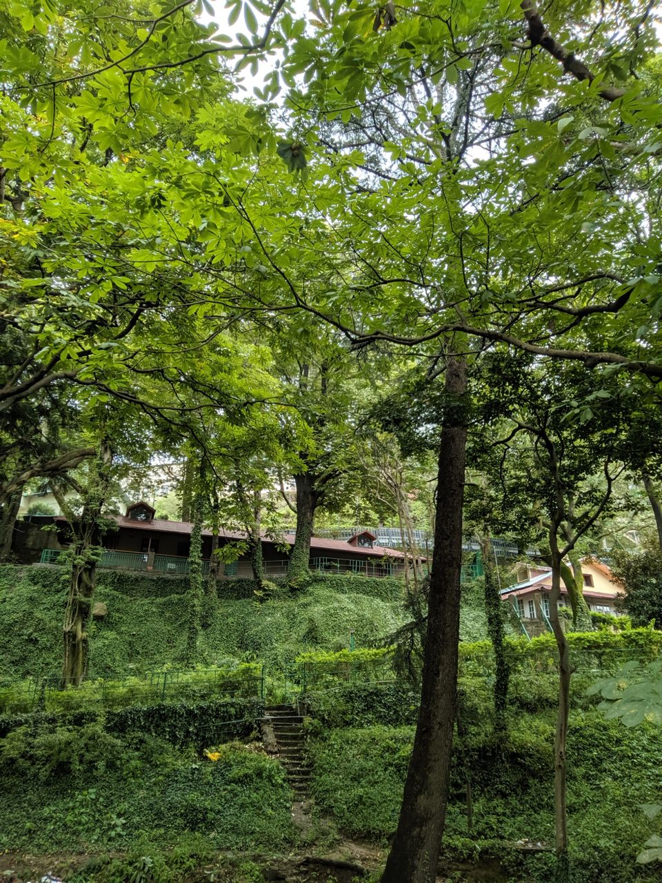Photo of Kasauli, Himachal Pradesh, India by Jaskaran Singh