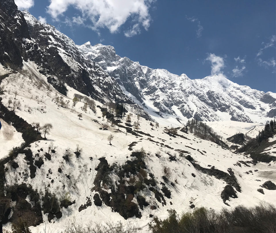 Photo of Kashawri by Vadher Dhara