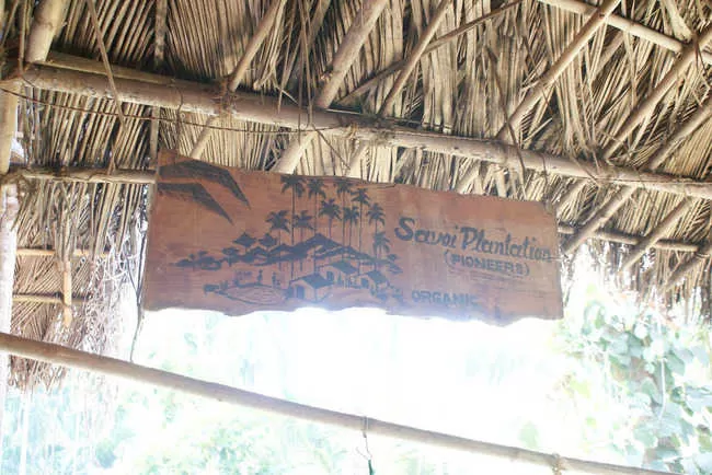 Photo of Savoi Plantation, Goa, India by Romance_with_India