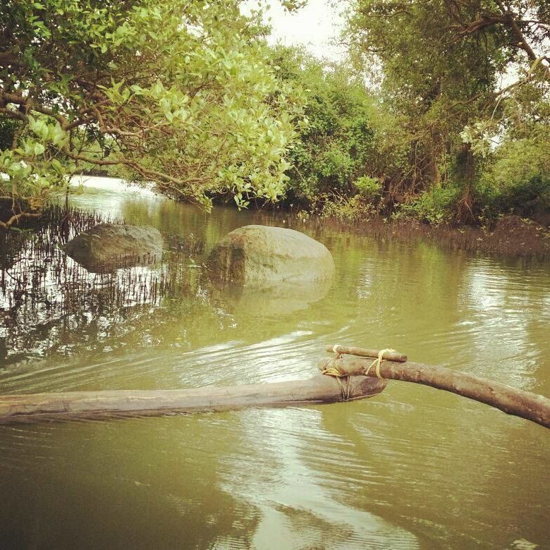 Photo of પાર્ટી, ડાન્સ અને ભીડ ભાડ થી દૂર, જુઓ ગોવાની બીજી બાજુ !!! by Vadher Dhara