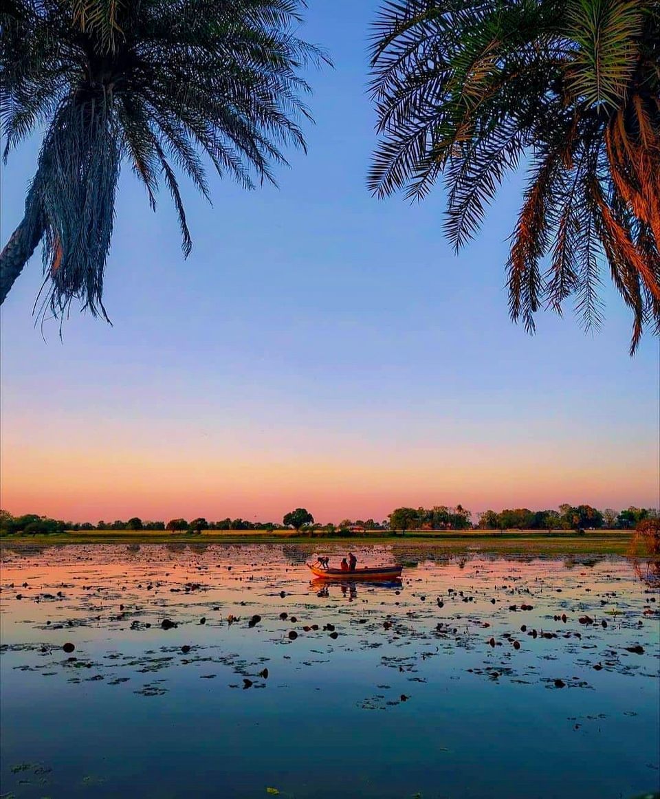 Photo of લોટસ વેલી : પરફેક્ટ રોમેંટીક ડેસ્ટિનેશન; જીવનસાથી સાથે વિતાવો ક્વોલિટી ટાઈમ by Vadher Dhara