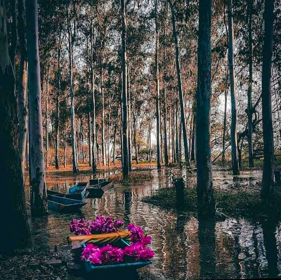 Photo of લોટસ વેલી : પરફેક્ટ રોમેંટીક ડેસ્ટિનેશન; જીવનસાથી સાથે વિતાવો ક્વોલિટી ટાઈમ by Vadher Dhara